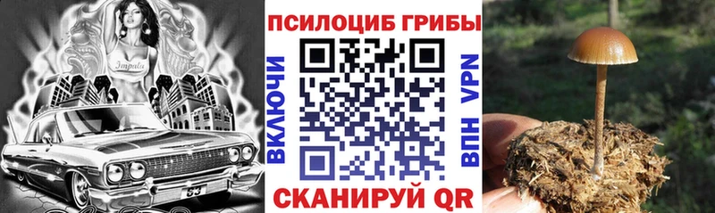 Псилоцибиновые грибы ЛСД  Углегорск 